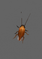 Monster cockroach.png